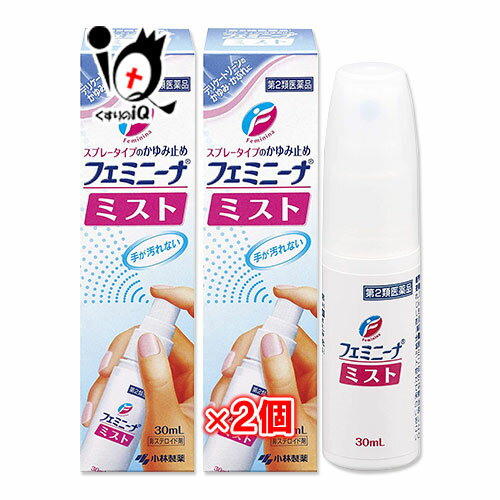 【第2類医薬品】★フェミニーナミスト 30mL×2個セット【小林製薬】スプレータイプのかゆみ止め デリケートゾーンのかゆみ かぶれに