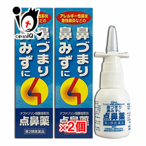 【第2類医薬品】★雪の元点鼻スプレー 30mL×2個セット【日新薬品工業】鼻づまり・鼻みずに ナザールスプレーと同じナファゾリン塩酸塩50mg配合