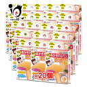 あかぎれ保護バン 指先用 10枚入×20個セット【ニチバン】乾燥したお肌を保護・保湿