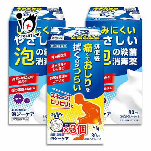 【第3類医薬品】泡ジーケア(消毒薬)80mL×3個セット【ムネ製薬】しみにくいやさしい泡の殺菌消毒薬