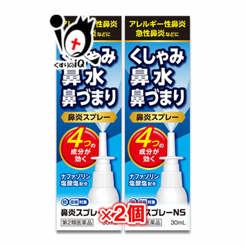 【第2類医薬品】★鼻炎スプレーNS 30mL×2個セット【中央製薬】ナザールスプレーと同じ成分配合 鼻炎用 点鼻薬 花粉症 薬 花粉 かふん くしゃみ 鼻水 鼻...
