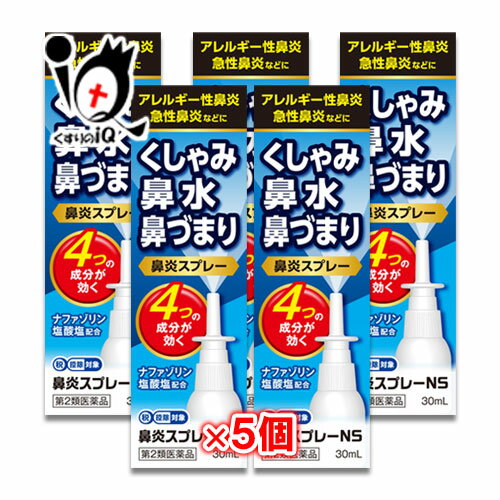 【第2類医薬品】★鼻炎スプレーNS 30mL 5個セット【中央製薬】ナザールスプレーと同じ成分配合 鼻炎用 点鼻薬 花粉症 薬 花粉 かふん くしゃみ 鼻水 鼻みず 鼻づまり 鼻炎 鼻炎薬 急性鼻炎 アレ…