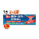 【19日限定ポイント5倍】【指定第2類医薬品】ジ軟膏エースiQ 25g【中央製薬】痔疾用薬 痔の痛み はれ かゆみに オシリアと同じ成分配合 痔の薬 切れ痔 きれ痔 裂肛 いぼ痔 イボ痔 痔核 塗り薬 外用薬 市販薬 ジェネリック