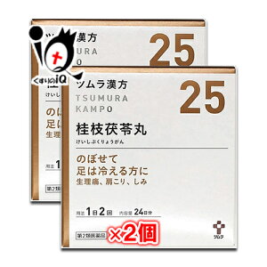 【第2類医薬品】ツムラ漢方 桂枝茯苓丸料エキス顆粒A (ケイシブクリョウガン) 48包(24日分)×2個セット【ツムラ】