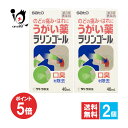 【19日限定ポイント5倍】【第3類医薬品】ラリンゴール 40mL×2個セット【佐藤製薬】のどの痛み・はれに 口内の洗浄・口臭の除去 うがい薬