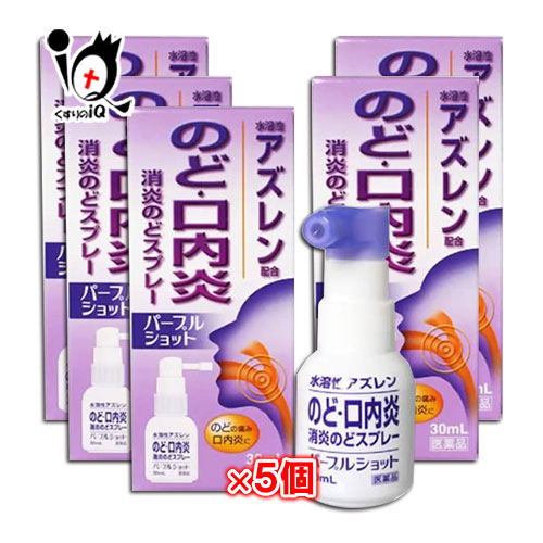 【第3類医薬品】【3個セット】生葉 口内塗薬20g×3個セット 【正規品】【t-12】