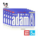 【指定第2類医薬品】★アダムA錠 120錠×5個セット【皇漢堂製薬】頭痛 歯痛 生理痛や発熱に イブプロフェン配合 解熱鎮痛薬