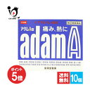 【19日限定ポイント5倍】【指定第2類医薬品】★アダムA錠 120錠×10個セット【皇漢堂製薬】頭痛 歯痛 生理痛や発熱に イブプロフェン配合 解熱鎮痛薬