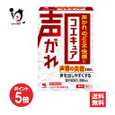 【19日限定ポイント5倍】【第2類医薬品】コエキュア 6包【小林製薬】声がれ、のどの不快感に 声帯の炎症を鎮め、声を出しやすくする 響声破笛丸 きょうせいはてきがん【訳あり特別価格】