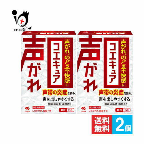 【第2類医薬品】コエキュア 6包×2個セット【小林製薬】声がれ、のどの不快感に 声帯の炎症を鎮め、声を出しやすくする 響声破笛丸 きょうせいはてきがん【訳あり特別価格】