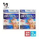 【第2類医薬品】★ロキエフェクトLXテープα 21枚入×2個セット【大石膏盛堂】肩の痛み、腰痛、関節痛に1日1回でつらい痛みのもとに効く! ロキソプロフェン テープ剤 ロキソニンジェネリック シップ 湿布 外用鎮痛消炎薬