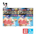 【第2類医薬品】★ロキエフェクトLXテープα 14枚入×2個セット【大石膏盛堂】肩の痛み、関節痛、腰痛に 冷感タイプ 1日1回つらい痛みのもとに効く ロキソプロ...