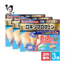 【第2類医薬品】★ロキエフェクトLXテープα大判 7枚入×3個セット【大石膏盛堂】肩の痛み、腰痛、関節痛に 冷感タイプ 1日1回つらい痛みのもとに効く ロキソプ...