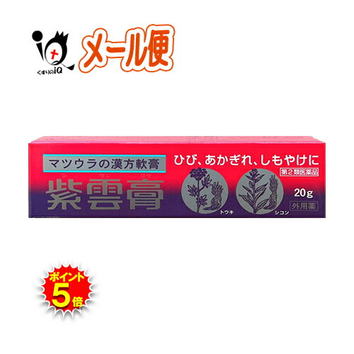 【19日限定ポイント5倍】【第2類医薬品】紫雲膏 20g【松浦薬業】しうんこう シウンコウ ひび、あかぎれ..