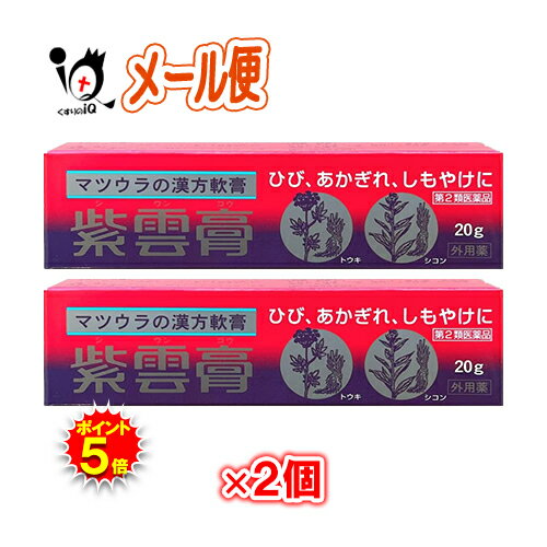 【19日限定ポイント5倍】【第2類医薬品】紫雲膏 20g×2個セット【松浦薬業】しうんこう シウンコウ ひび..