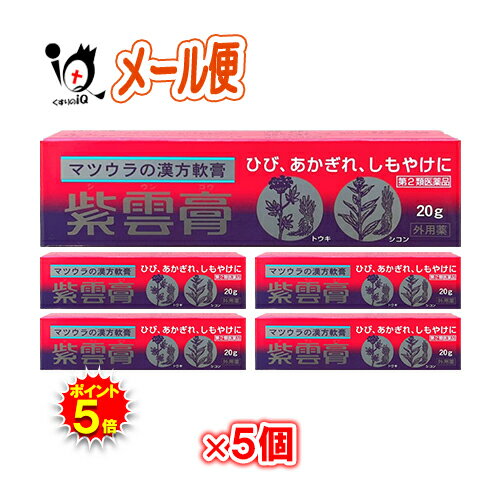 【19日限定ポイント5倍】【第2類医薬品】紫雲膏 20g×5個セット【松浦薬業】しうんこう シウンコウ ひび..