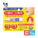 【第3類医薬品】フィクテアLip 10g×10個セット【ジャパンメディック】口唇炎・口角炎、口角のひびわれ・ただれに 医薬品のリップクリーム