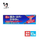 【指定第2類医薬品】ジ軟膏S iQ 25g×10個セット【中央製薬】オシリアと同じ成分配合 痔 痔の薬 痔軟膏 肛門 いぼ痔 イボ痔 きれ痔 切れ痔 裂肛 痛み はれ かゆみ 塗り薬 外用薬 ジェネリック