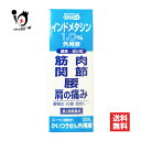 【第2類医薬品】★かいつうせん外用液 50mL【東宝製薬】インドメタシン1%外用液 鎮痛・消炎剤 筋肉、関節、腰、肩の痛み 腱鞘炎・打撲・捻挫に ユーカリ油配合 塗り薬 湿布 外用剤 4955103020027