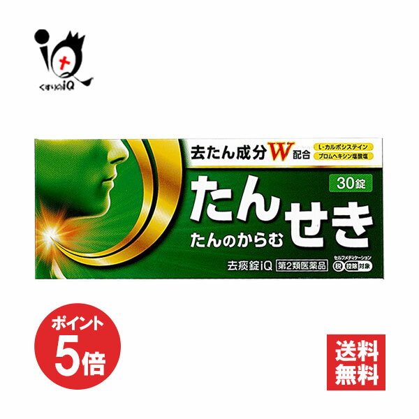 【1日限定ポイント5倍】【第2類医薬品】★去痰錠iQ 30錠【中央製薬】去たん成分W配合 痰 たん 咳 鎮咳去..