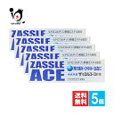 【指定第2類医薬品】ザッスルエース軟膏 22g×5個セット【中外医薬生産】痔疾用薬 痔の痛み・かゆみ・出血に きれ痔 切れ痔 いぼ痔 かゆみ はれ