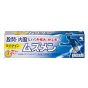 【第2類医薬品】小林製薬 ムズメン 15g