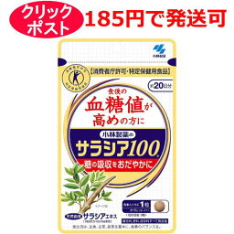 小林製薬 サラシア100 60粒 / 特定保健用食品