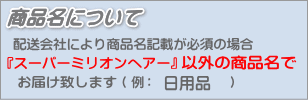 【あす楽対応】ルアン お試しセット スーパーミリオンヘアーレディースセット （スーパーミリオンヘアー10g＆スプレー35g）　 プレゼント　バレンタイン格安通販　バレンタイン　人気　ランキング