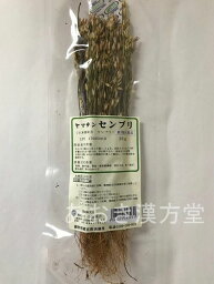 【10個セット】【第3類医薬品】センブリ 20g 小島漢方 当薬 せんぶり茶 千振 生薬 ポイント