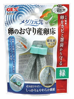 ジェックス メダカ元気 卵のお守り産卵床 緑 (1個) 産卵床 観賞魚用品