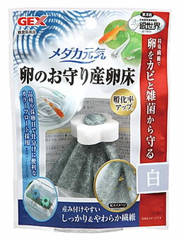 ジェックス メダカ元気 卵のお守り産卵床 白 (1個) 産卵床 観賞魚用品