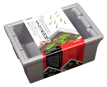 スドー　スターペット　メダカの発泡鉢　大　S-5586　(1個)　めだか用　飼育鉢　飼育ケース