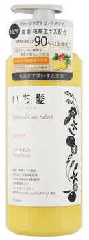 クラシエ　いち髪　ナチュラルケアセレクト　モイスト　トリートメント　ポンプ　(480g)　Natural Care Select