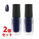 《セット販売》　コーセー　ネイルホリック　BL913　(5mL)×2個セット　ネイルカラー　NAILHOLIC