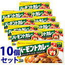 　《セット販売》　ハウス食品 バーモントカレー 中辛 12皿分 (230g)×10個セット カレールウ　※軽減税率対象商品