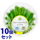 《セット販売》 くらしリズム レタス柄カップ M (10枚)×10個セット お弁当カップ おかずカップ