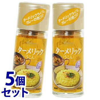 《セット販売》　ハウス食品 ターメリック (14g)×5個セット うこん スパイス 調味料　※軽減税率対象商品