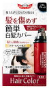 ドクターシーラボ 簡単ひと塗り 白髪カバー ソフトブラック (10mL) 男女共用 シーラボ 白髪用 白髪かくし