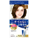 【特売】　ダリヤ サロンドプロ 無香料ヘアカラー 早染めクリーム 白髪用 2 より明るいライトブラウン (1セット) 白髪染め　【医薬部外品】 その1