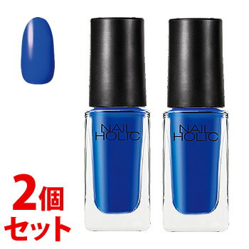 《セット販売》　コーセー ネイルホリック BL924 (5mL)×2個セット ネイルカラー NAILHOLIC
