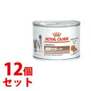 sZbg̔t@CJi  Lp މ@T|[g EFbg  (195g)~12Zbg Lbgt[h hbOt[h HÖ@H ROYAL CANIN