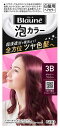 【特売】 花王 ブローネ 泡カラー 3B ボルドーブラウン (1セット) 泡タイプ 白髪用ヘアカラー 白髪染め 【医薬部外品】