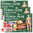 【第2類医薬品】《セット販売》 興和 バンテリンコーワ パップS (24枚)×3個セット 外用鎮痛消炎薬 【セルフメディケーション税制対象商品】