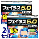 【第2類医薬品】《セット販売》 久光製薬 フェイタス5.0 大判サイズ (10枚)×2個セット フェルビナク配合テープ剤 【セルフメディケーション税制対象商品】