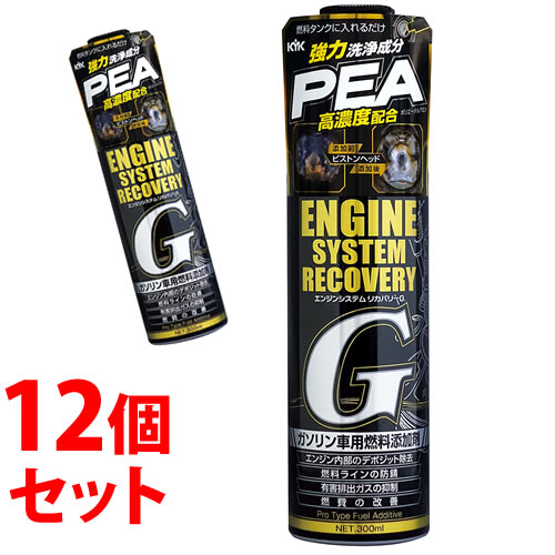 《セット販売》　古河薬品工業 エンジンシステムリカバリーG 63-017 (300mL)×12個セット ガソリン車用 燃料添加剤　【送料無料】　【smtb-s】