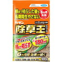 フマキラー カダン 除草王シリーズ オールキラー粒剤 (900g) 除草剤