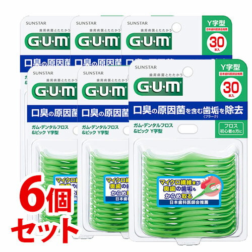 ԥåա󥹥  ǥ󥿥եԥå Y (30)6ĥå GUM 