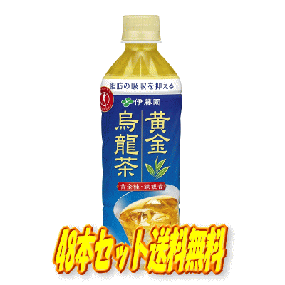 ☆北海道・九州も送料無料！伊藤園 黄金烏龍茶 PET 500ml×48本セット（24本×2ケース）【特定保健用食品】※沖縄・離島への発送は出来ません/ヤマト運輸での発送不可商品です