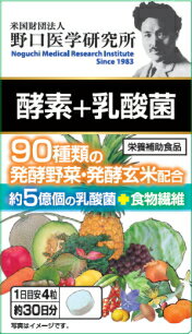 ☆90種類の発酵野菜・発酵玄米配合!明治薬品 野口医学研究所 酵素+乳酸菌 120粒