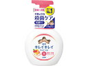 ライオン キレイキレイ 薬用泡ハンドソープ フルーツミックスの香り 大型 ポンプ 500ml